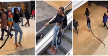 Video of Lady Spotted at Mall With Floor-Length Braids Leaves Netizens Buzzing: "Makes no Sense"