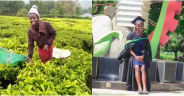 “From farm to degree” – Lady celebrates graduation from University after years of farming to fund her education