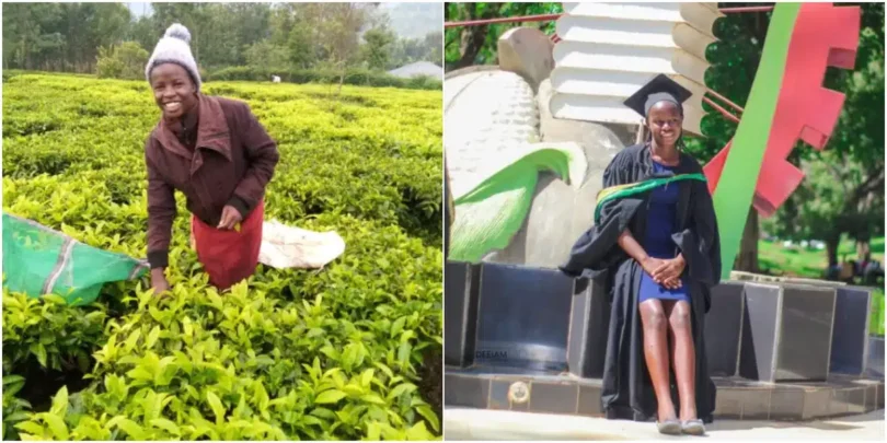 “From farm to degree” – Lady celebrates graduation from University after years of farming to fund her education